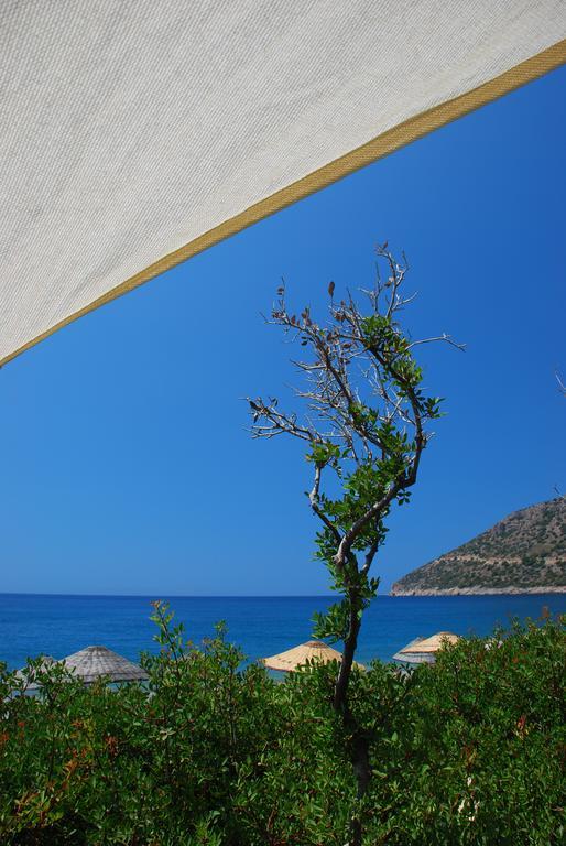 Hoppala Pension Datça Extérieur photo