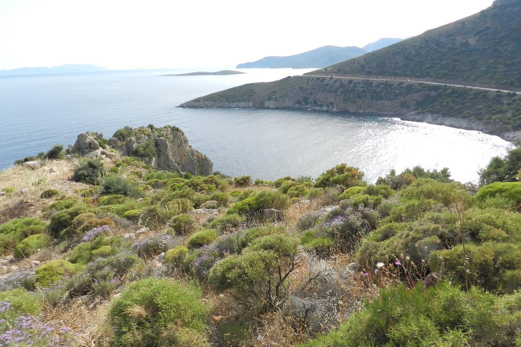 Hoppala Pension Datça Extérieur photo