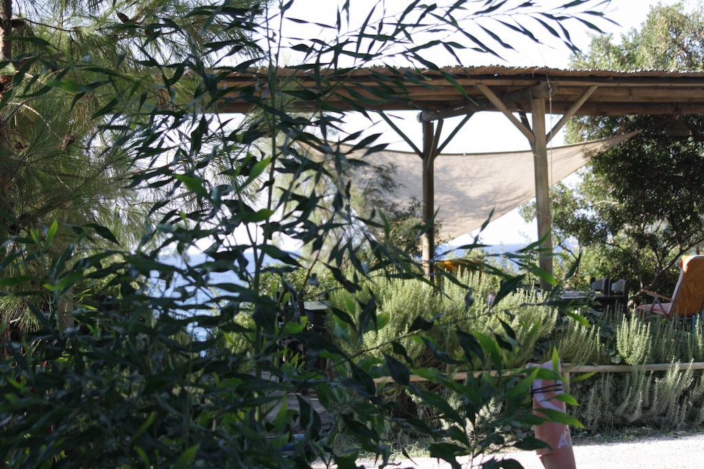 Hoppala Pension Datça Chambre photo